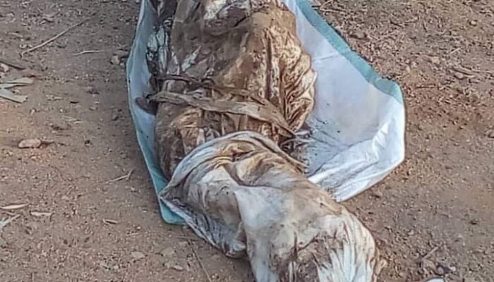 Video and Photos of Dead Body Exhumed Dropped With Naira Note In Ohumaka (Graphics Warning)