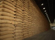 Kogi, LNRBDA produce 7,000 tonnes of rice