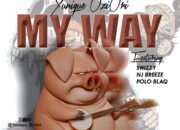 Mp3: Yunique – My Way ft. Nj Brezze x Swizzy x Polo Blaq