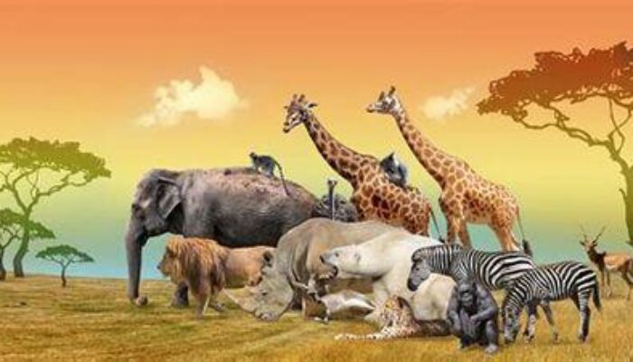 50 Animals in Ebira Language and Their English Translation